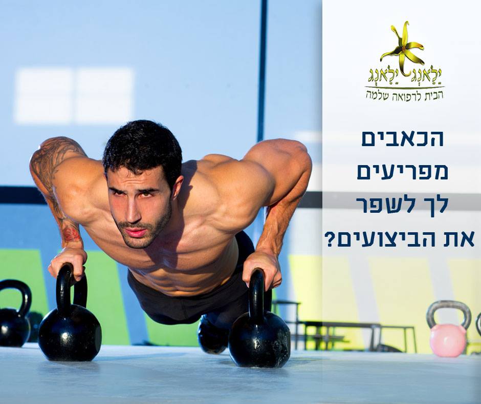 21271043_1586202548093281_4761000468660740442_n