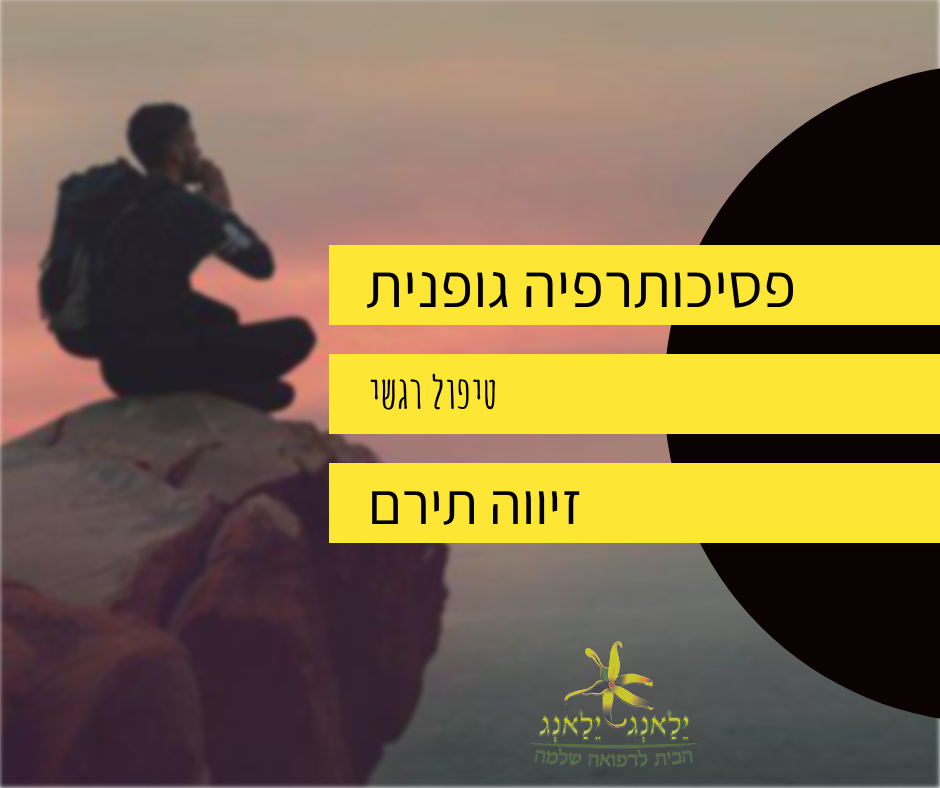 פסיכותרפיה גופנית